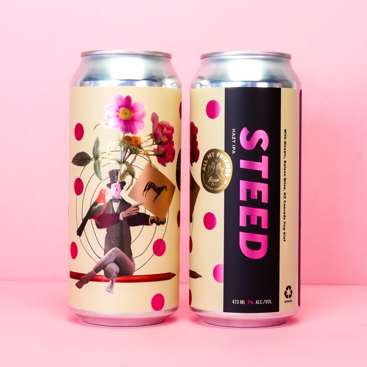 STEED - Hazy IPA