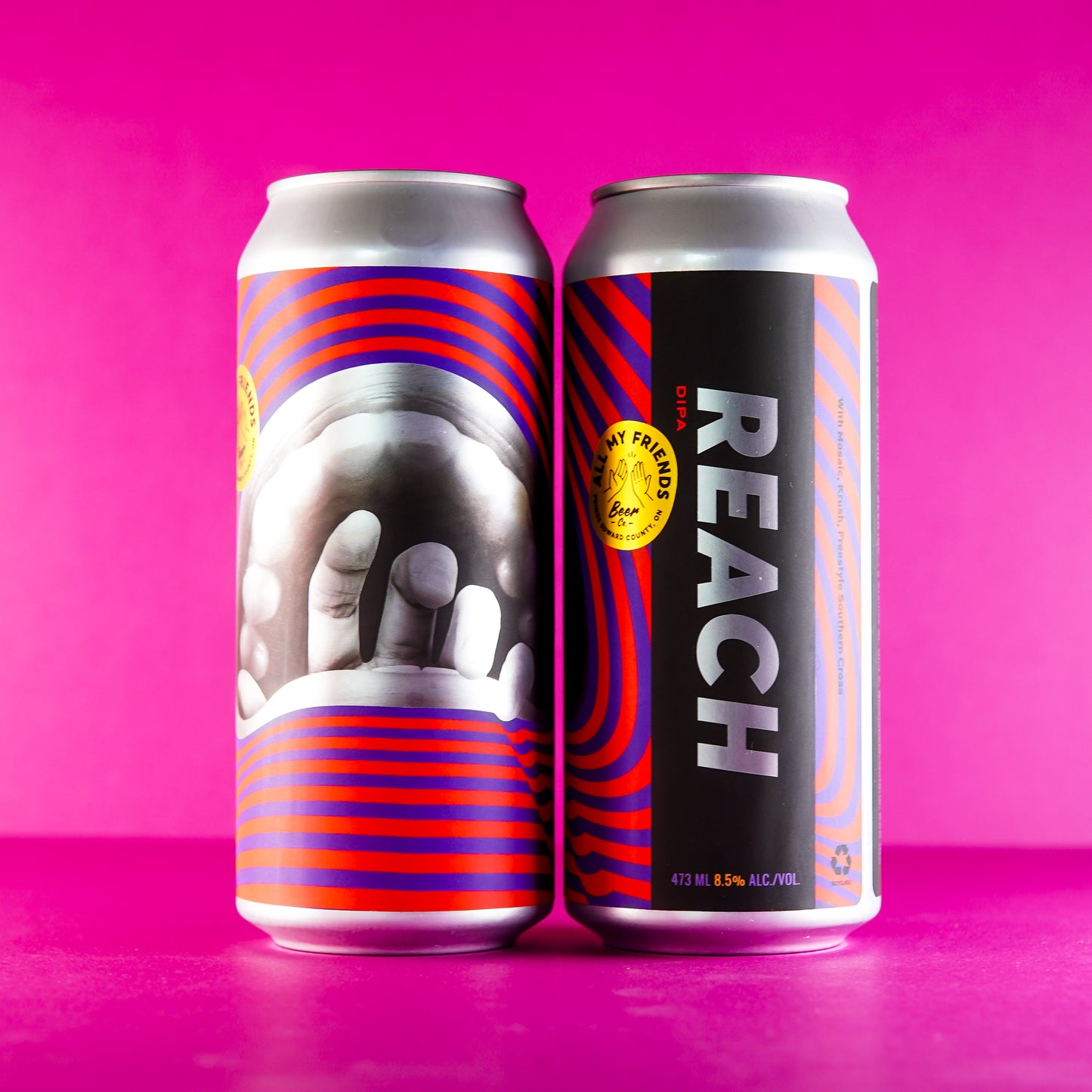 REACH - DIPA