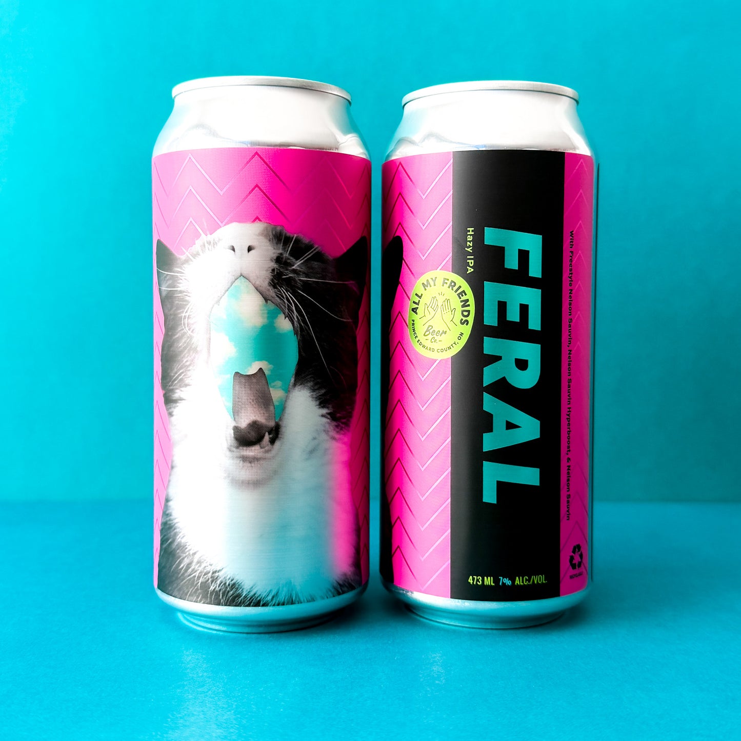 FERAL - Hazy IPA w Freestyle Nelson Sauvin, Nelson Sauvin Hyperboost, & Nelson Sauvin 7% - 473ml Cans - Collaboration w Slake Brewing